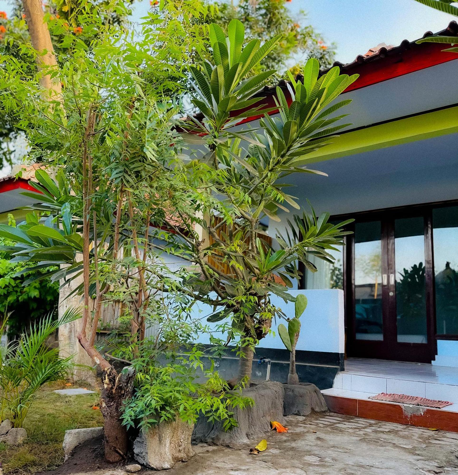Creative Bungalow Beach Front Τζίλι Τραγουανγκάν Εξωτερικό φωτογραφία